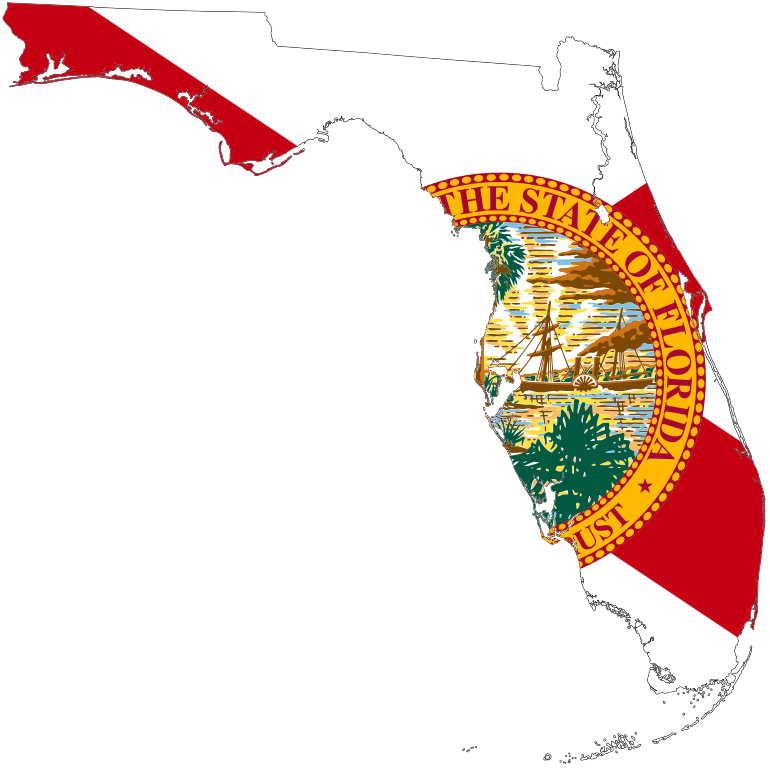 VBA Tampa, FL